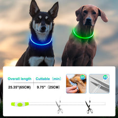 Kpuplol three modes LED dog collar offers versatile visibility options