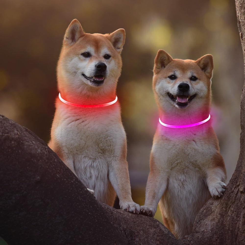 Kpuplol two-pack dog collars provide spare for multiple pets