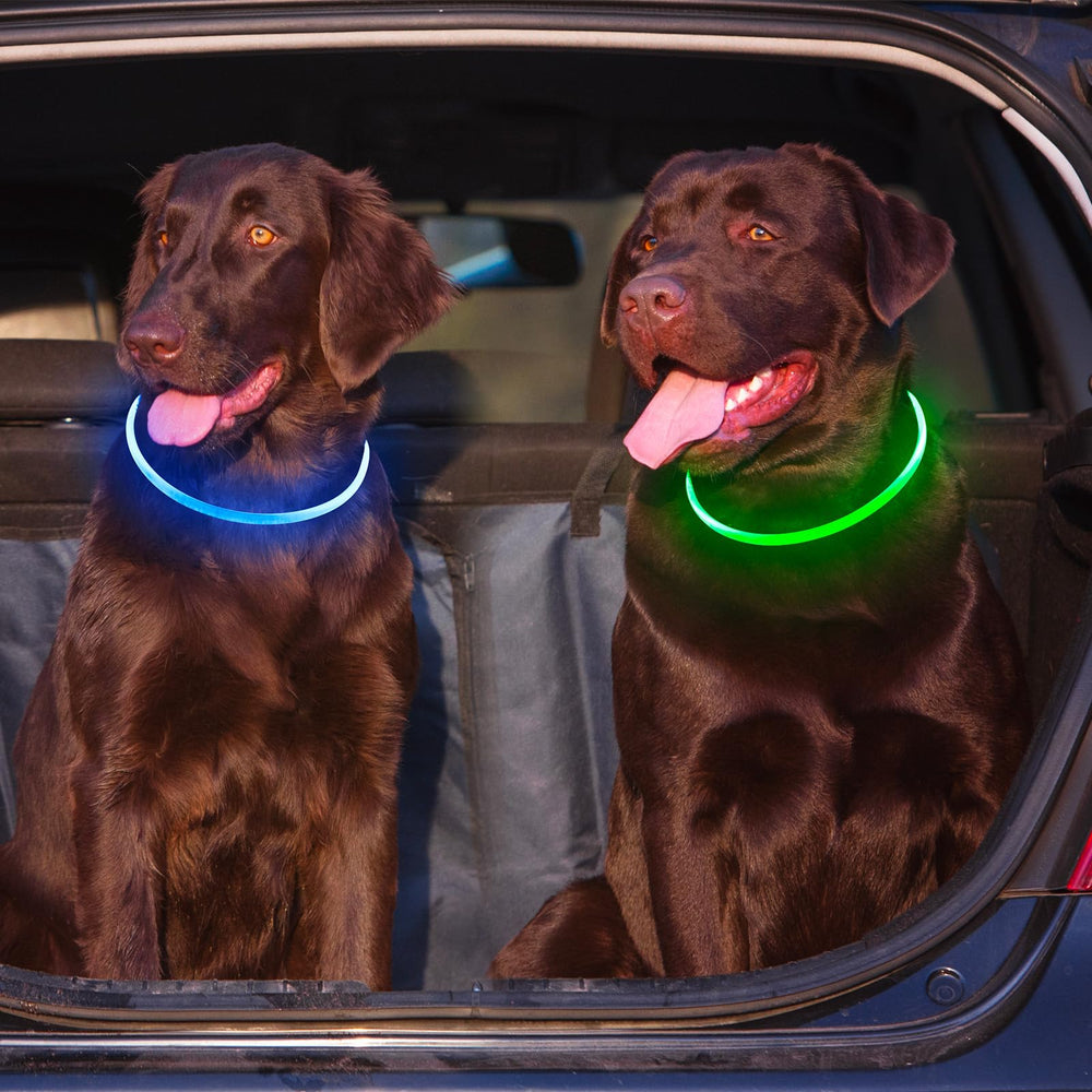 Kpuplol waterproof dog collar withstands splashes during outdoor adventures