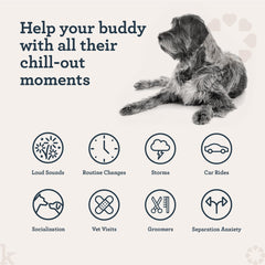 Kradle Calming Chews relaxed dog at home for everyday calm
