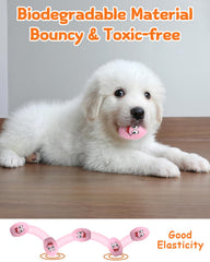 KrauzPet bouncy egg ball squeaks and rolls unpredictably for engaging play