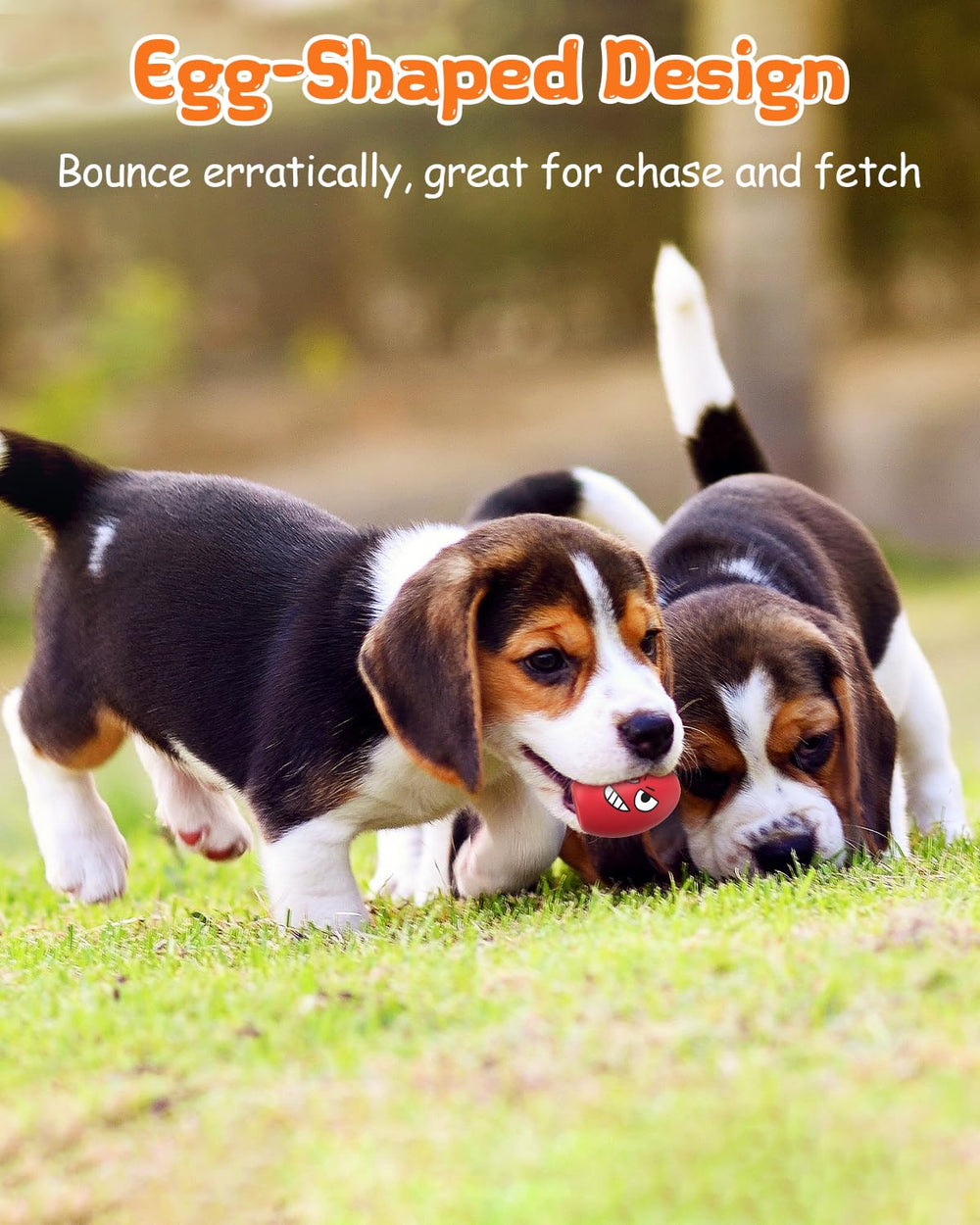KrauzPet interactive fetch toy supports tossing, fetching, bonding