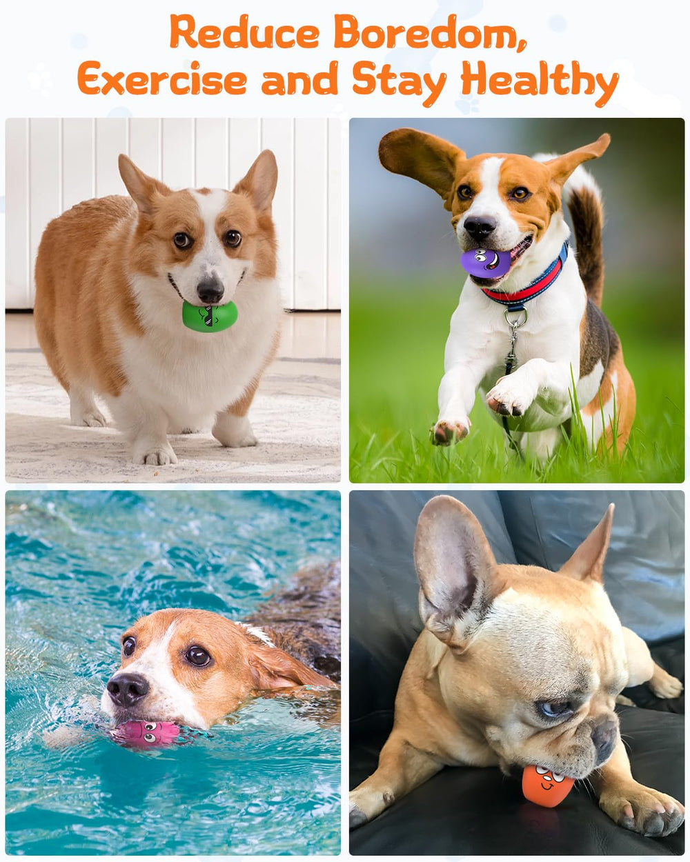 KrauzPet durable, BPA-free material ensures safe, long-lasting fun