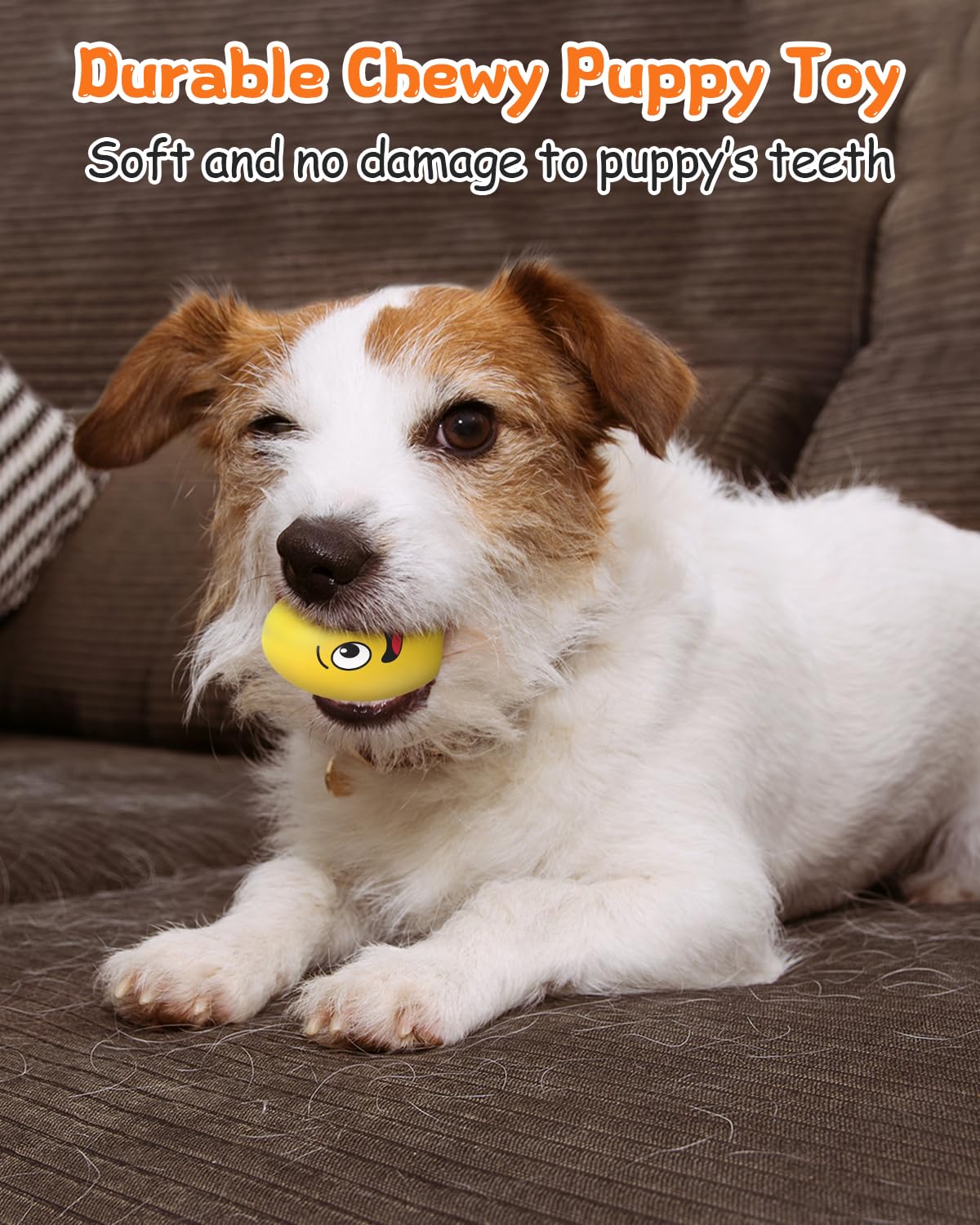 KrauzPet small-breed smiley balls delight tiny dogs