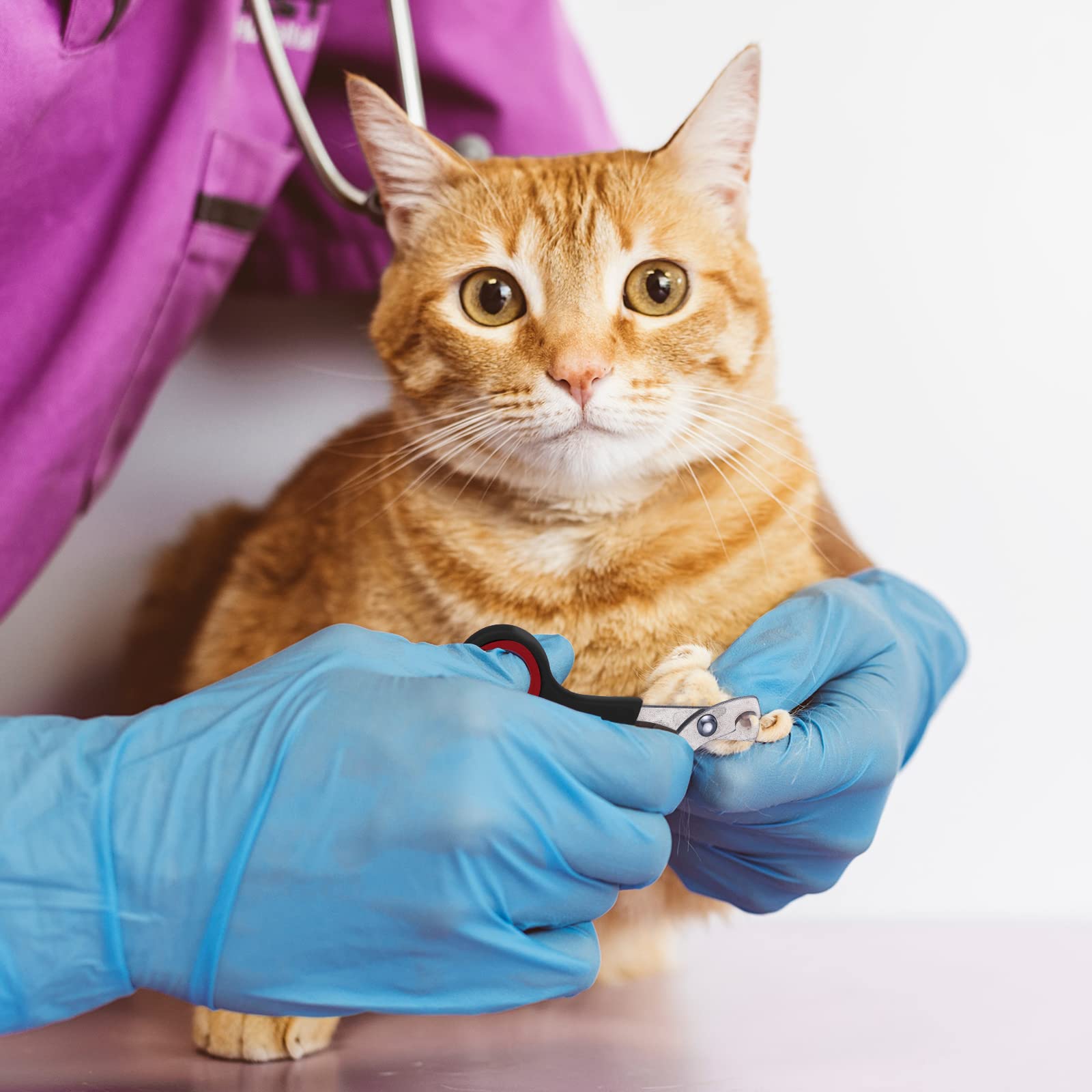 Kritkin cat muzzle keeps pets calm during grooming sessions