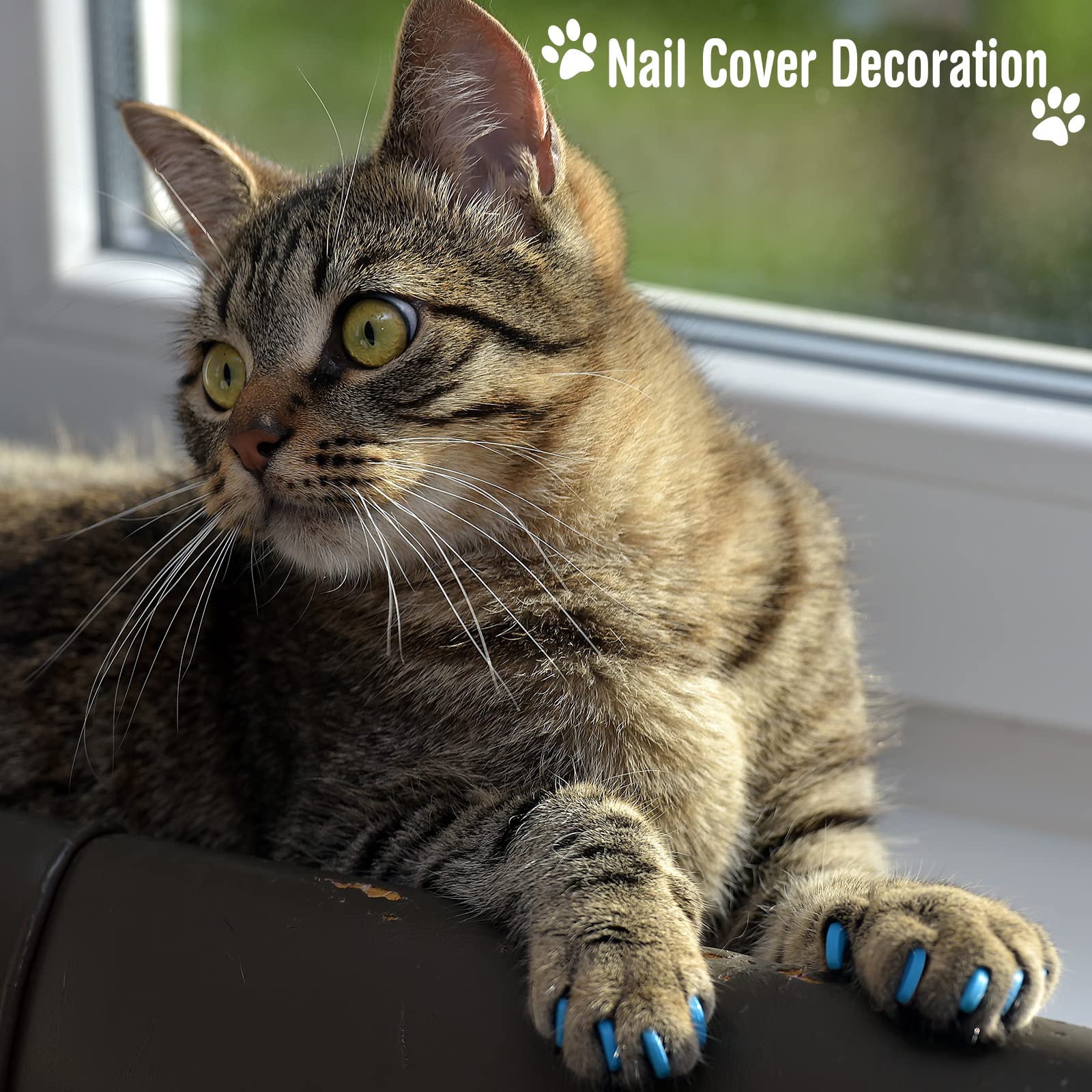Kritkin cat nail file with durable PP handle for safe trimming.