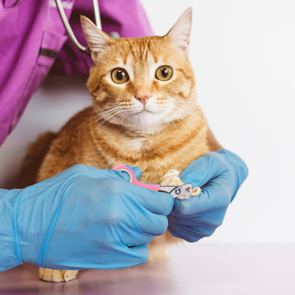 Kritkin PVC pet nail caps for nail protection