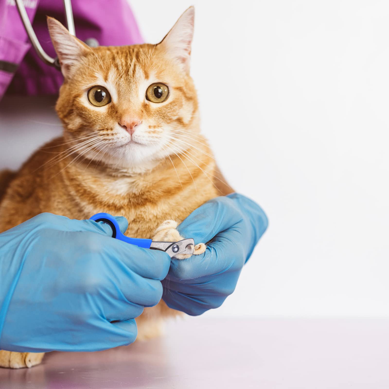 Kritkin tick removal tool set designed for quick, gentle pet care.