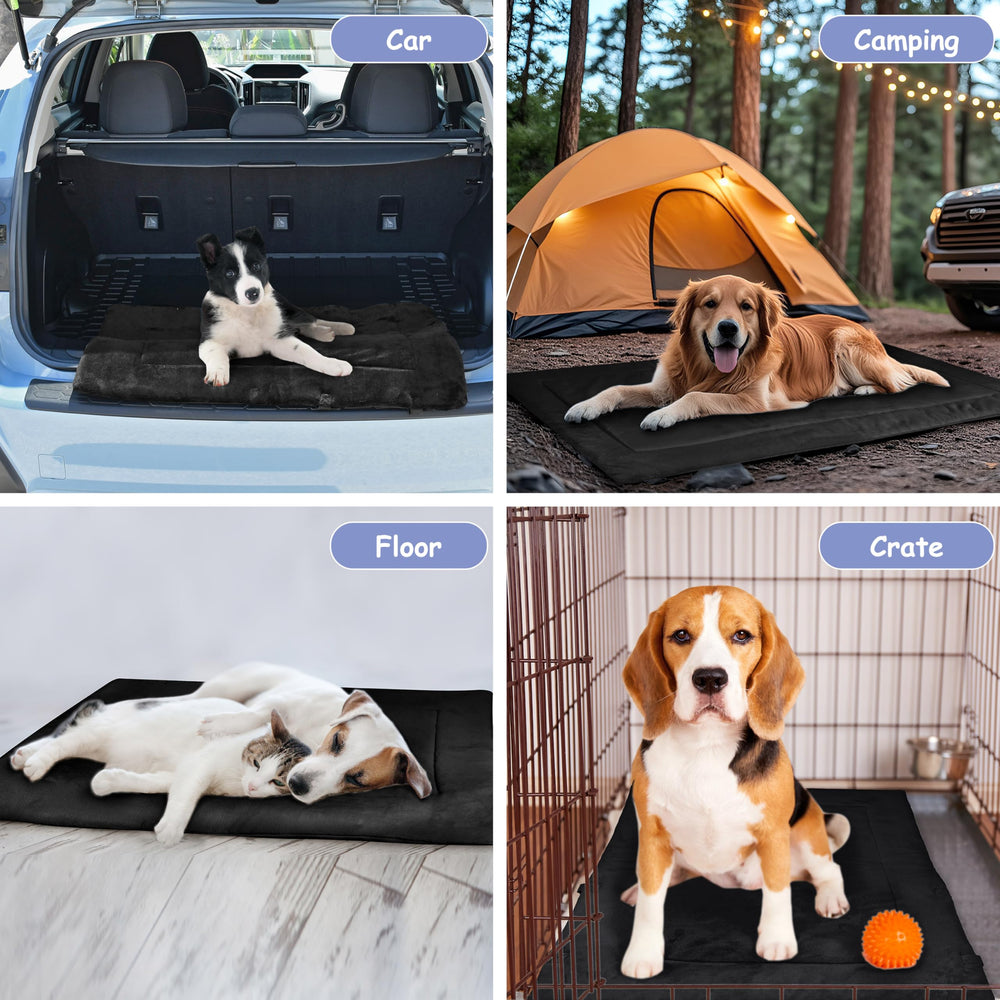 Kritter Planet dog bed rolled with handles for portable outdoor use