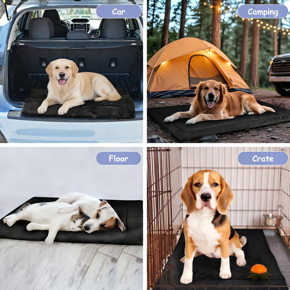 Kritter Planet portable roll-up dog bed with handles for easy travel