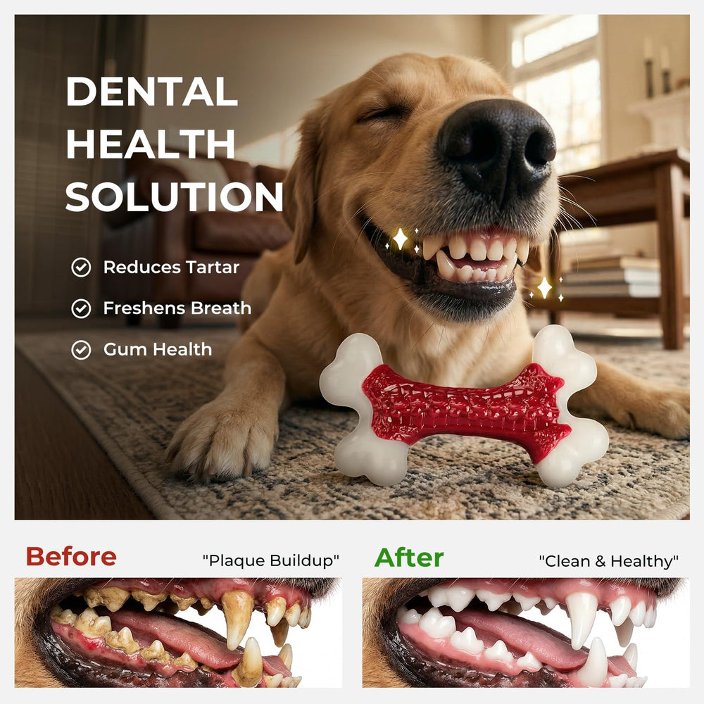 Kseroo beef-flavored bone toy helps large breeds chew safely