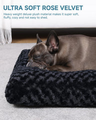KSIIA deluxe plush kennel pad provides soft support for cozy sessions.