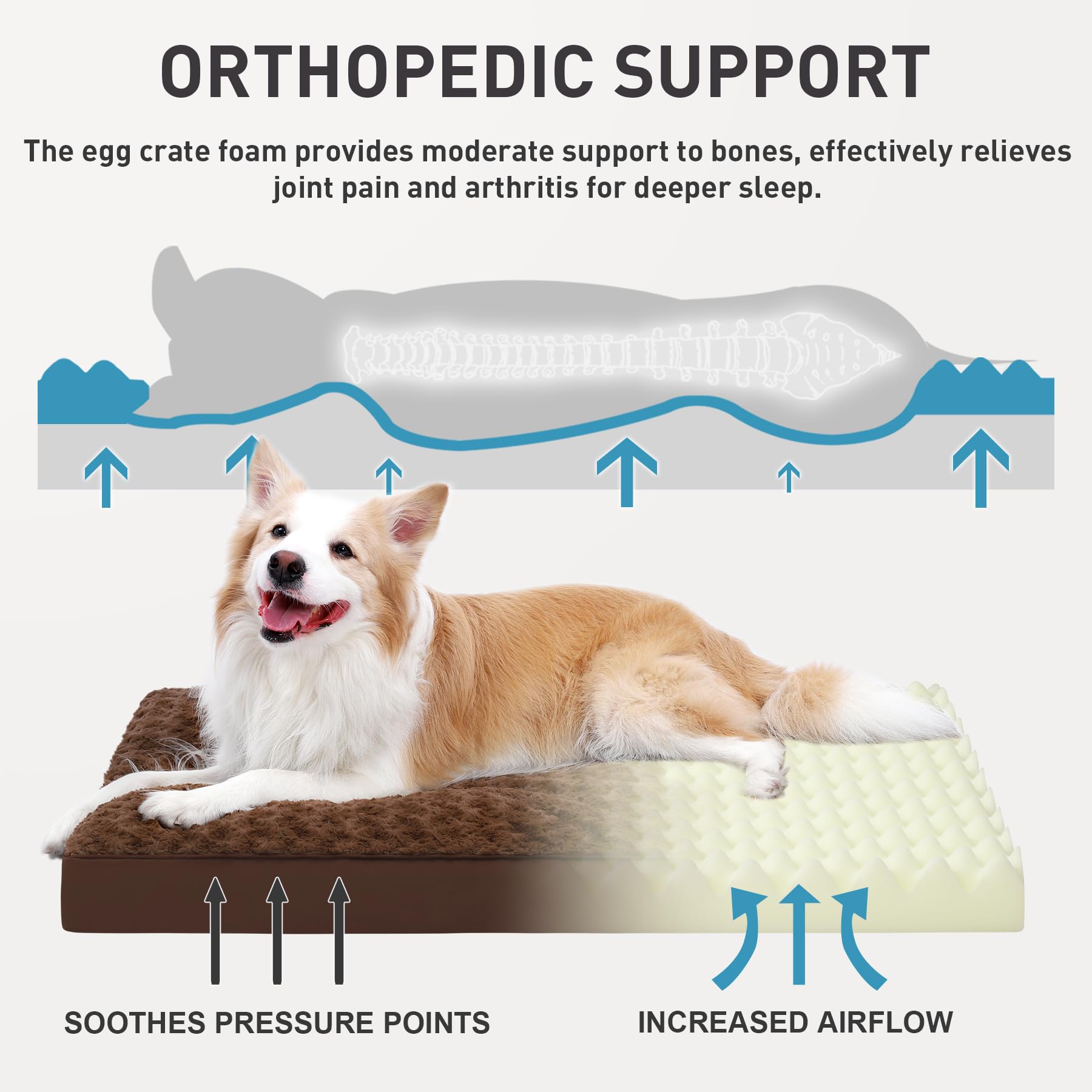 KSIIA dog bed with egg crate foam supports joints and cushions
