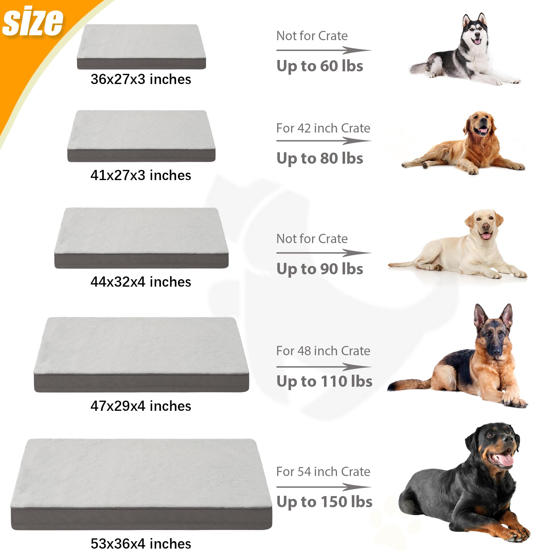 KSIIIA bed shown in home and car for versatile use
