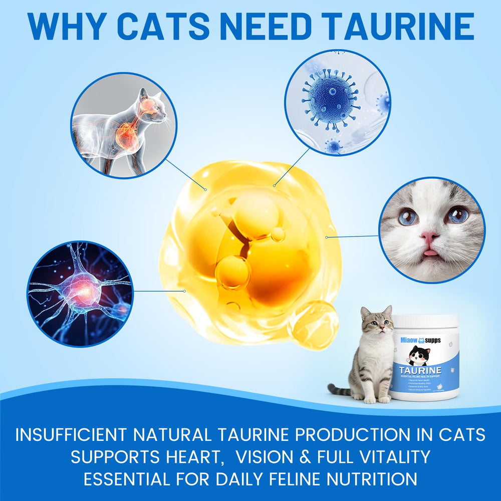 Ksjue Kittysupps taurine powder provides long-lasting supply in 200 g jar