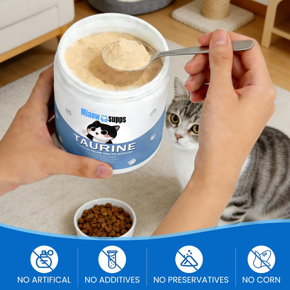 Ksjue Kittysupps taurine powder supports shinier fur
