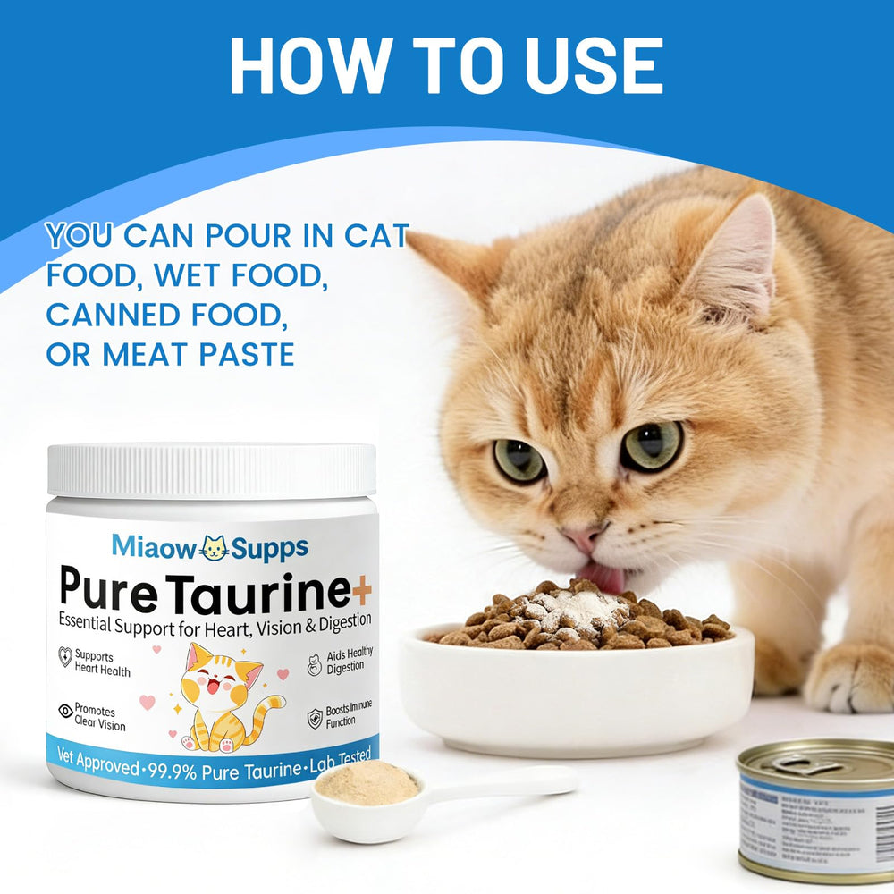 Ksjue Taurine cat bowl with meal showing simple daily addition