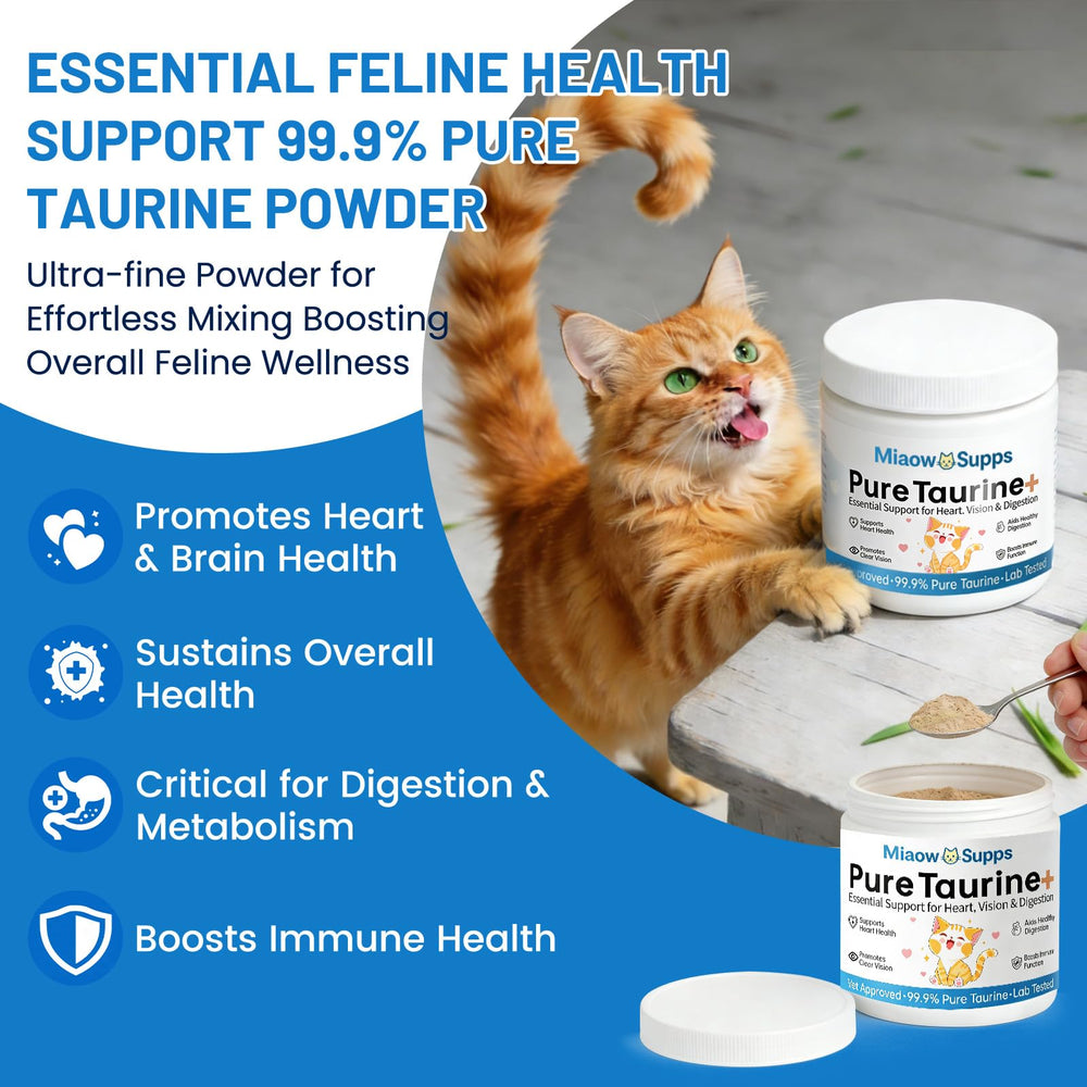 Ksjue Taurine dosing scoop beside the jar for easy daily dosing
