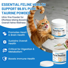 Ksjue Taurine dosing scoop beside the jar for easy daily dosing