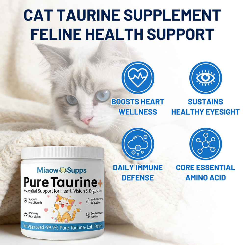 Ksjue Taurine powder texture close-up highlighting purity and fine granules