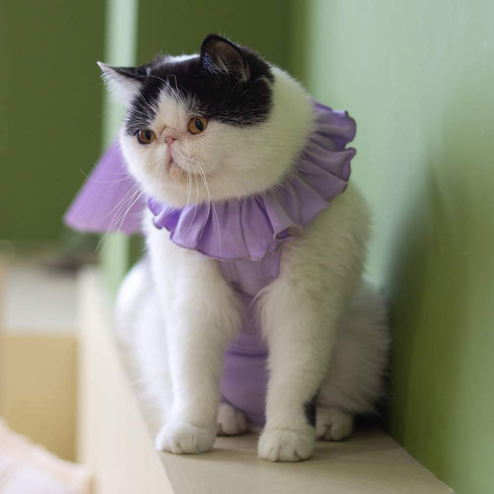 Kukaster Pet recovery suit is machine-washable for easy care