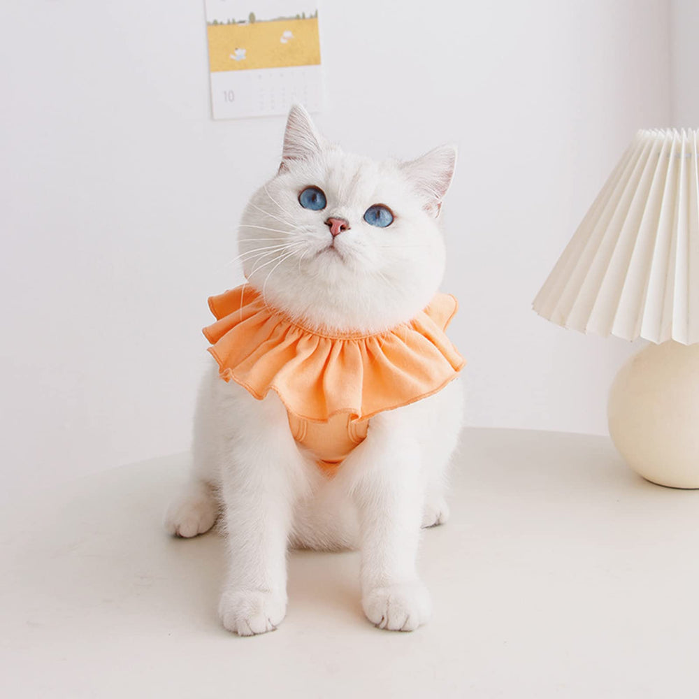 Kukaster Pet cat recovery suit tail opening enables easy bathroom breaks.