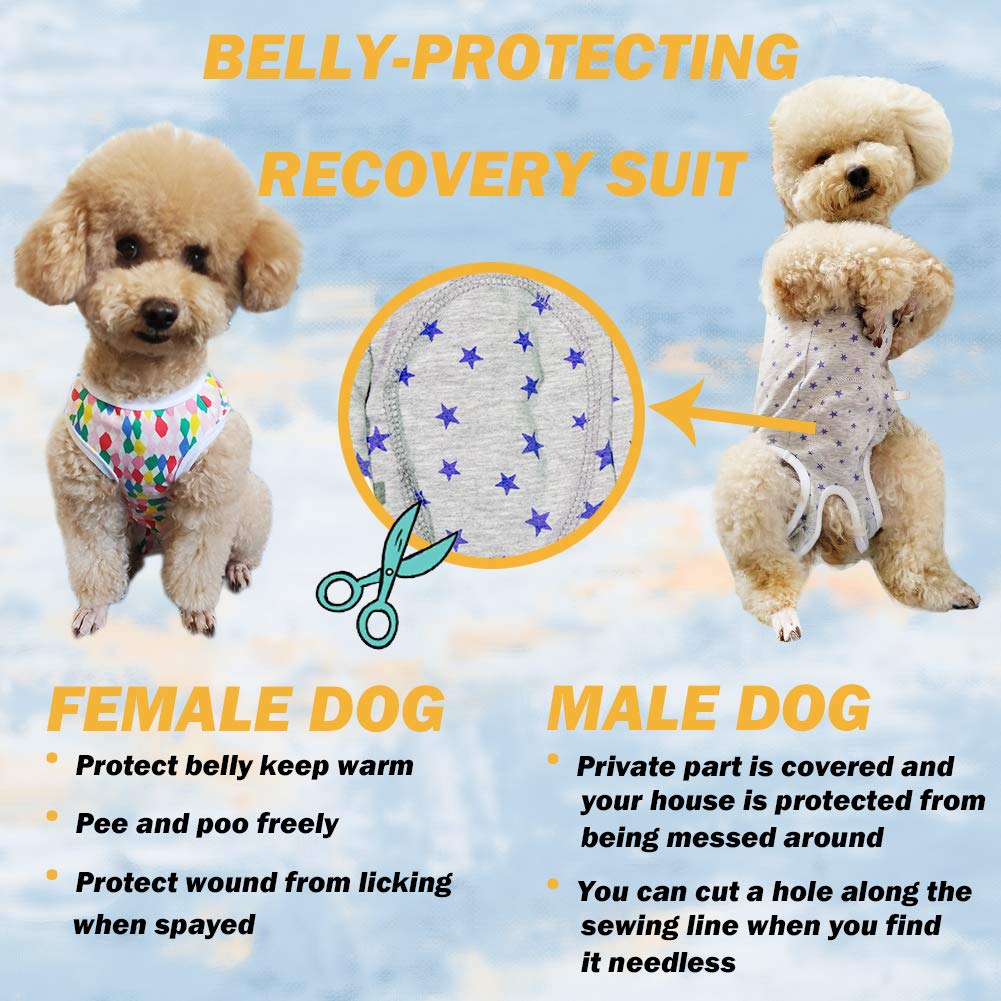 Kukaster Pet recovery suit indoor outdoor use for calm recovery and versatile wear.
