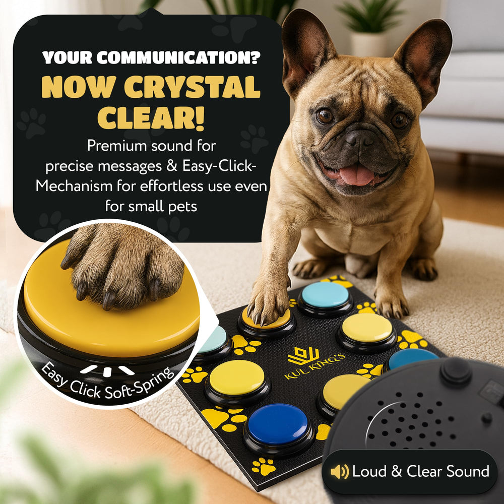 KUL KING'S 8-recordable buttons set up for interactive canine communication.