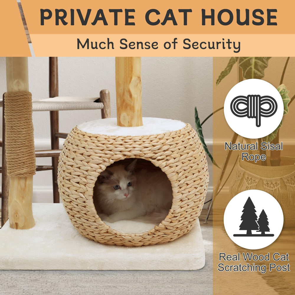 KULAMOON cat tree hanging toy ball invites playful interaction