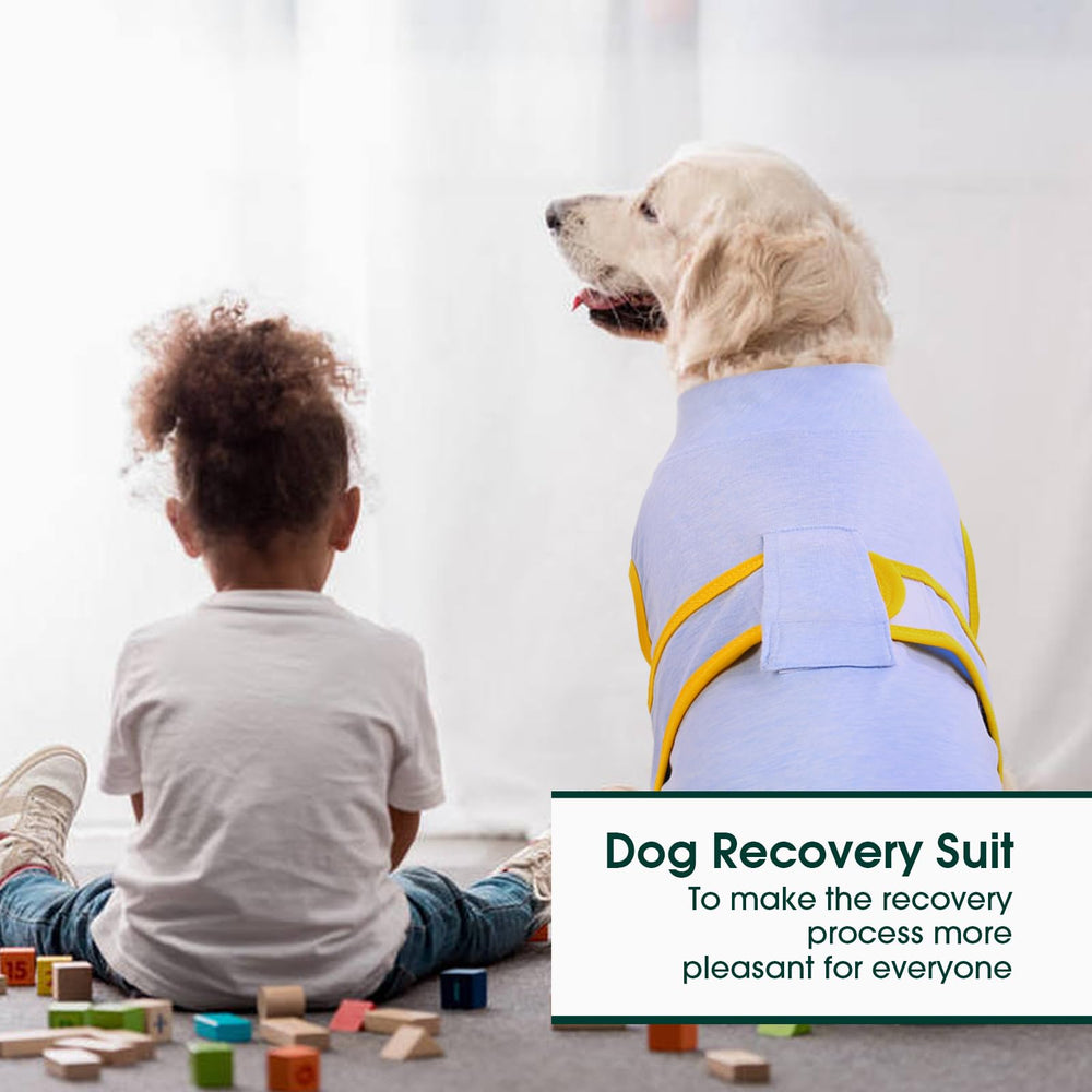 Kuoser adjustable-closure dog suit offers a secure, easy-to-wear fit for everyday use.