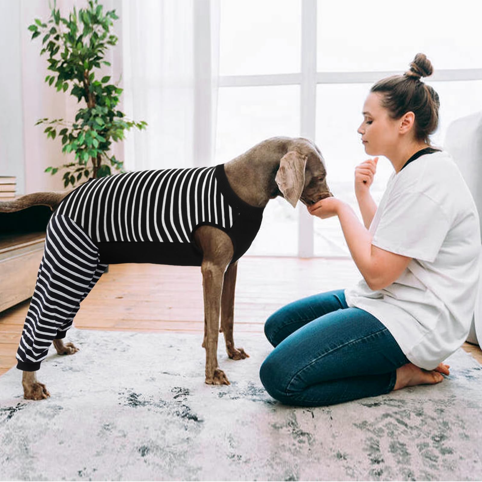 Kuoser anti lick recovery option without the cone of shame.