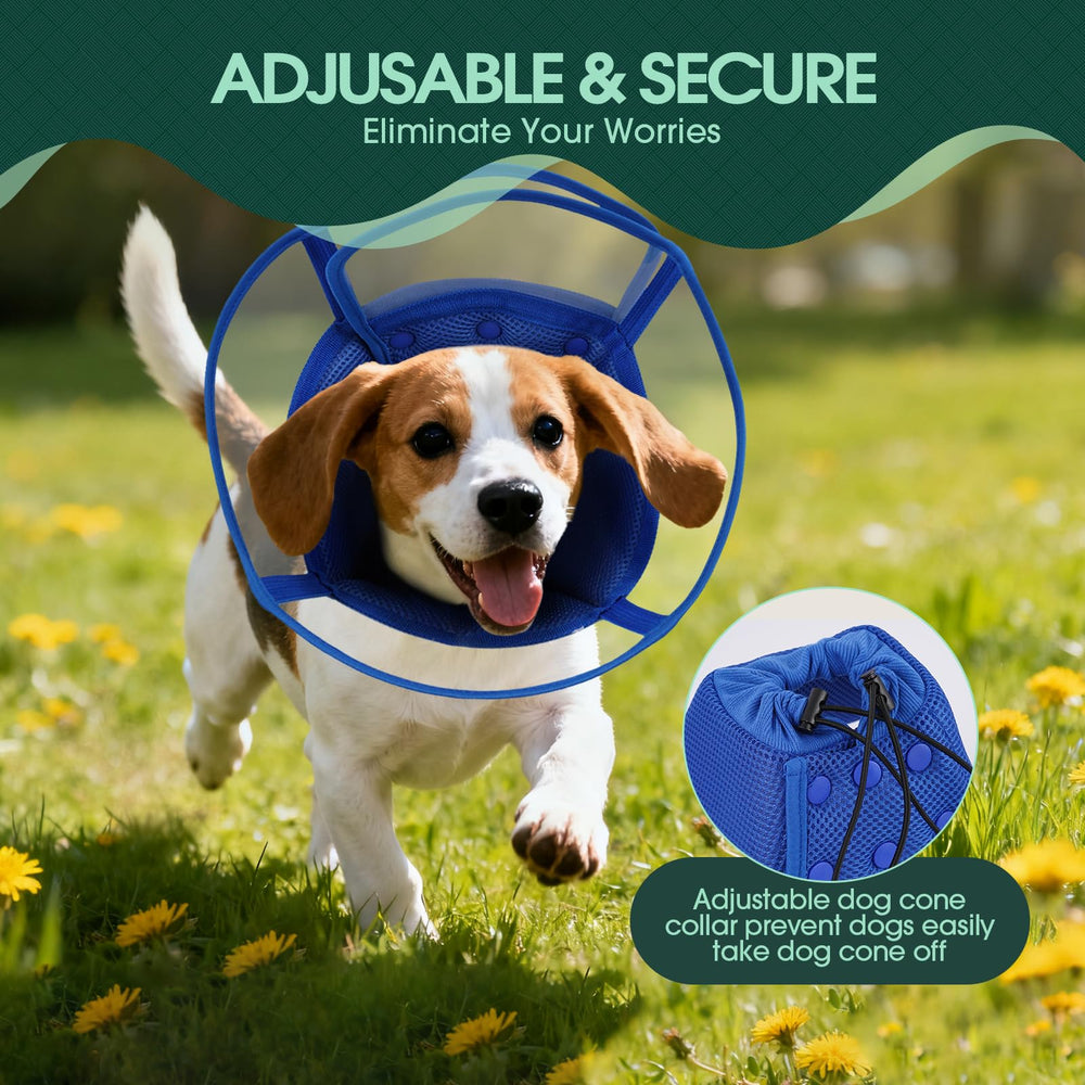 Kuoser blue small-dog cone size S ideal for small breeds' recovery