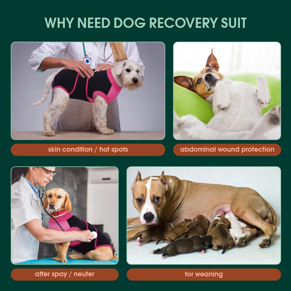 Kuoser breathable fabric dog onesie provides ventilation during recovery.