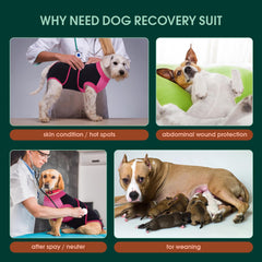 Kuoser breathable fabric dog onesie provides ventilation during recovery.