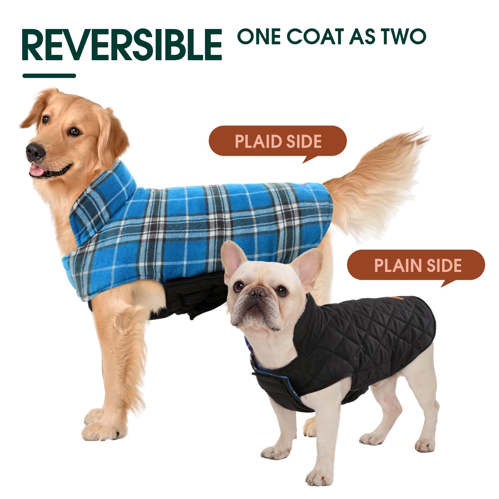 Kuoser adjustable closures ensure a snug fit across medium to large breeds