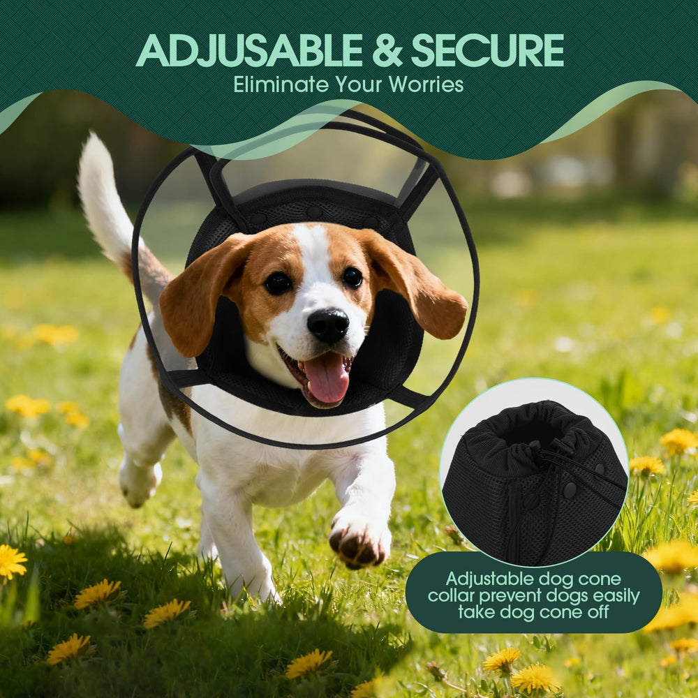 Kuoser dog cone worn on a medium dog during rest and gentle activity.