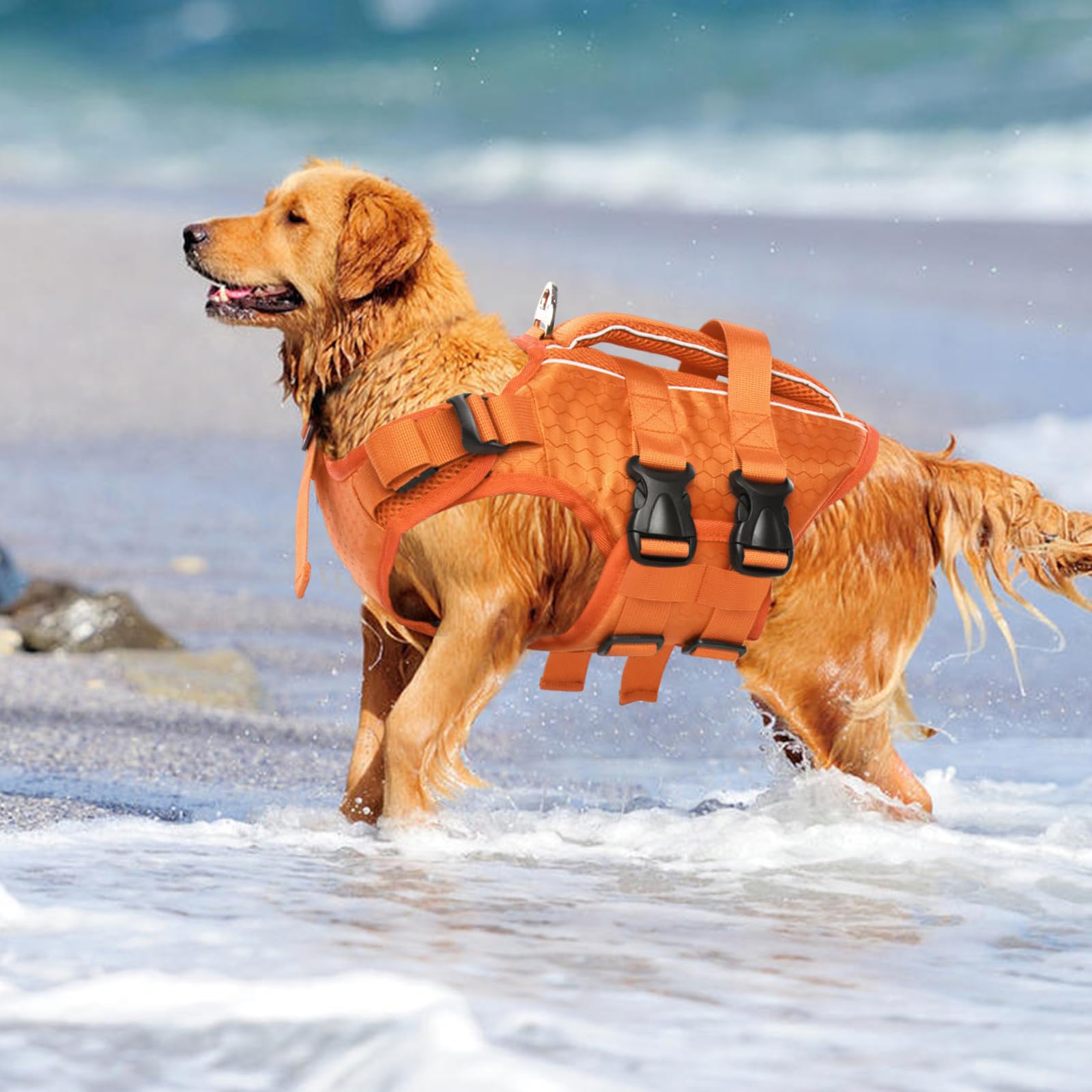 Kuoser dog life jacket designed for water activities like swimming and boating