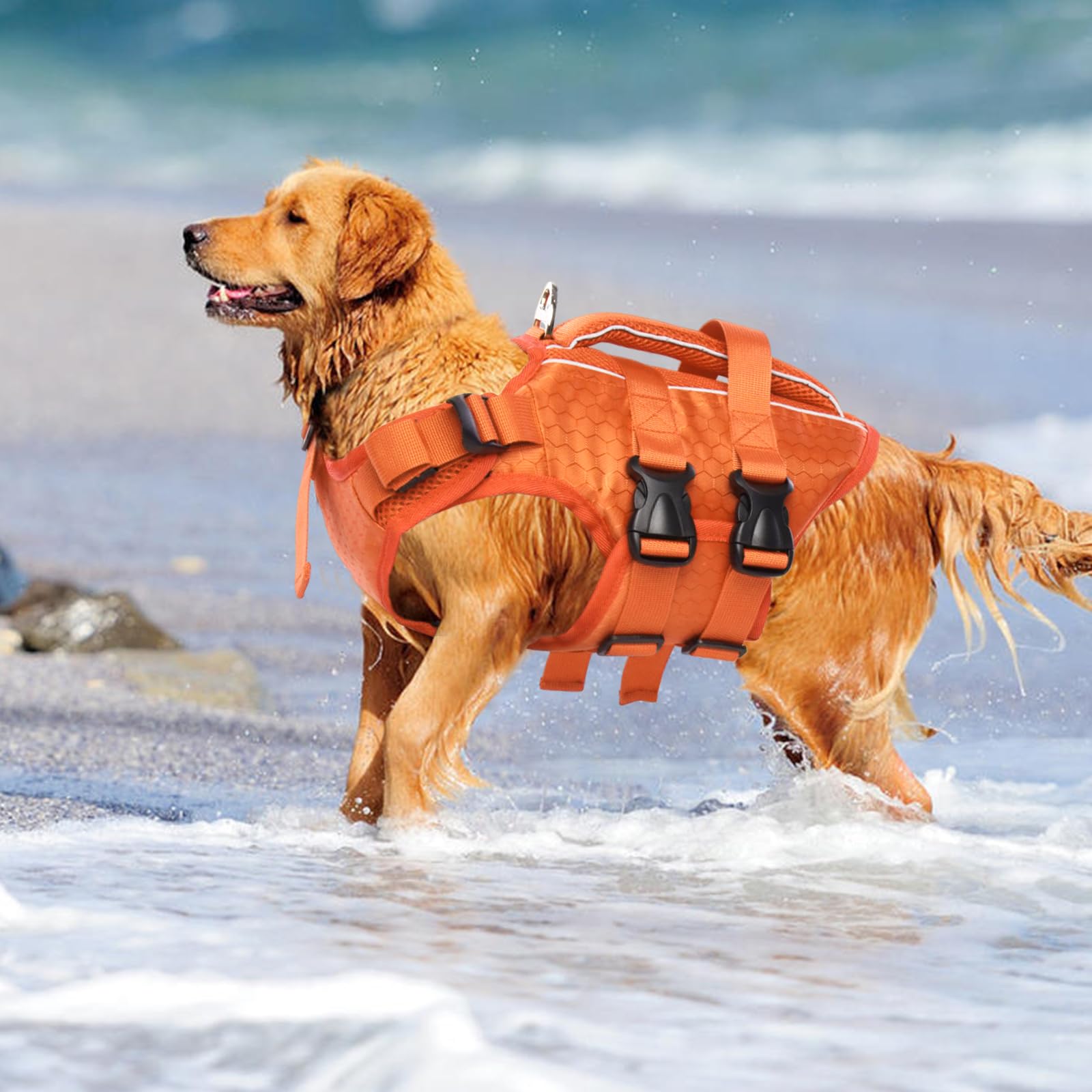 Kuoser bright colors improve visibility during outdoor water activities