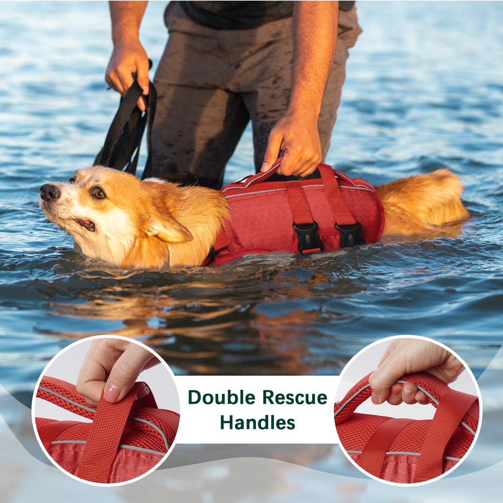 Kuoser dog lifejacket during a playful swimming session at the beach