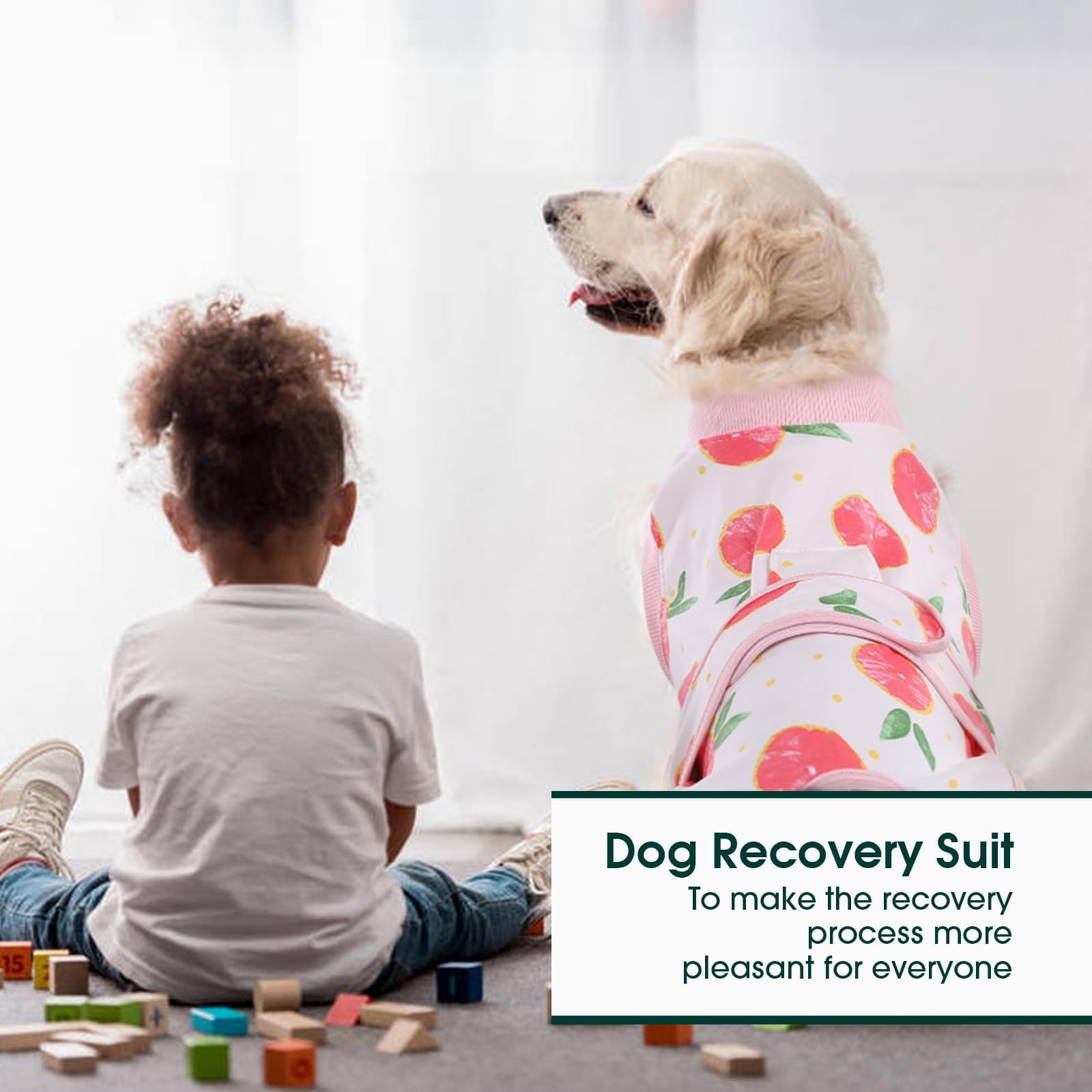 Kuoser dog onesie surgery pink XL use scenarios illustrate post-op, skin care, and shedding control.