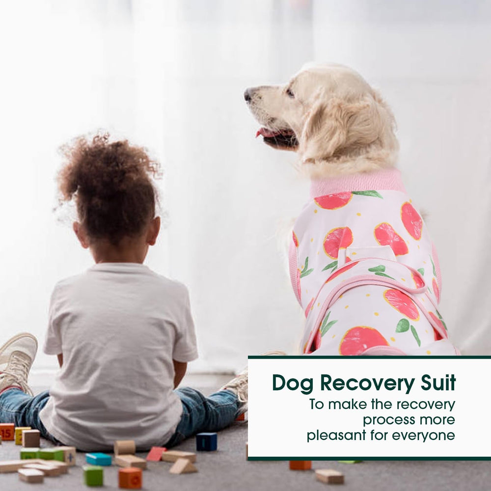 Kuoser dog onesie surgery pink XL use scenarios illustrate post-op, skin care, and shedding control.