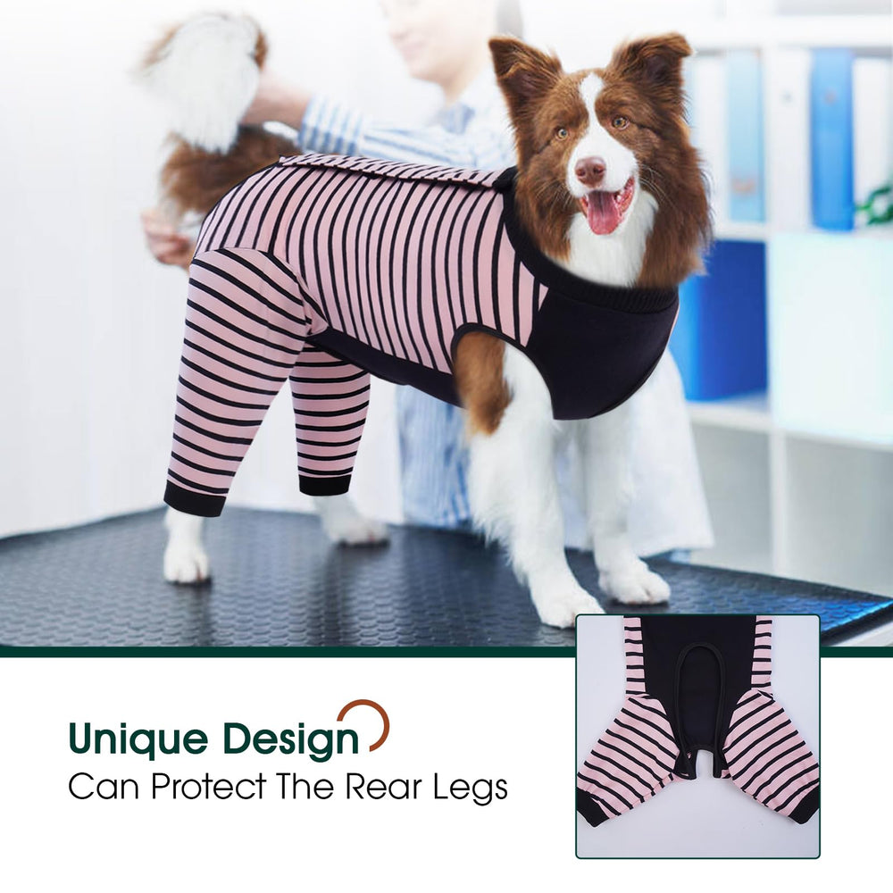 Kuoser dog pants cover wounds to prevent licking and irritation
