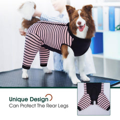 Kuoser dog pants cover wounds to prevent licking and irritation