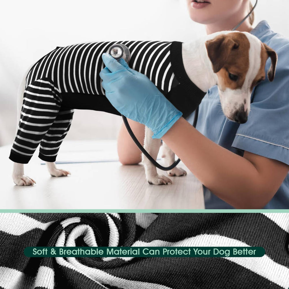 Kuoser dog pants protect wounds and keep bandages clean.