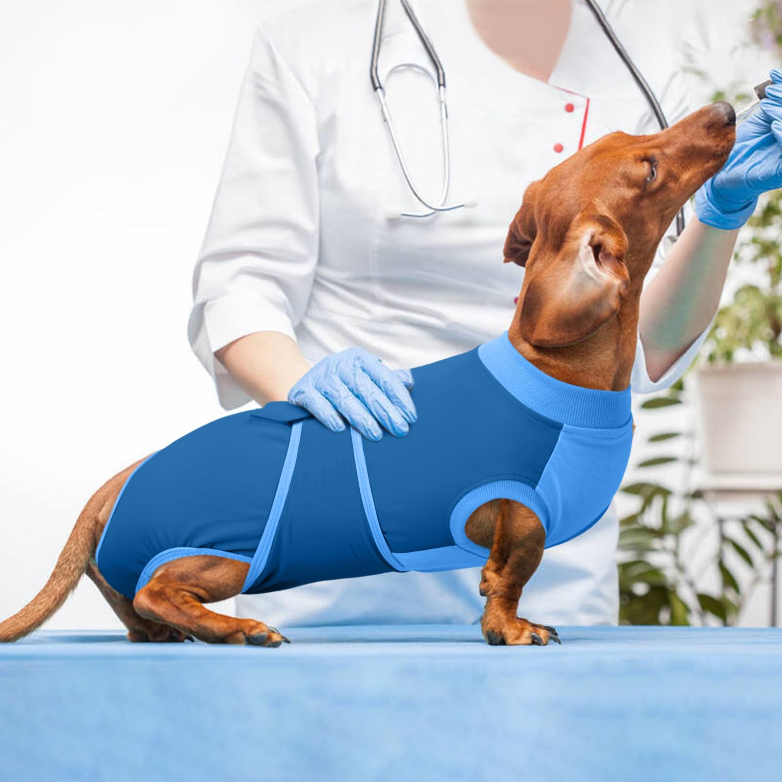 Kuoser blue all-breeds suit suitable for various dogs and seasons.