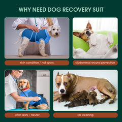 Kuoser recovery suit blue side fit shows natural movement.