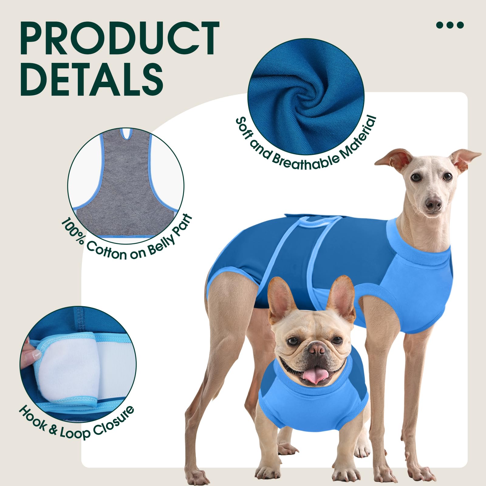 Kuoser dog recovery suit blue, walking motion while wearing.