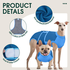 Kuoser dog recovery suit blue, walking motion while wearing.