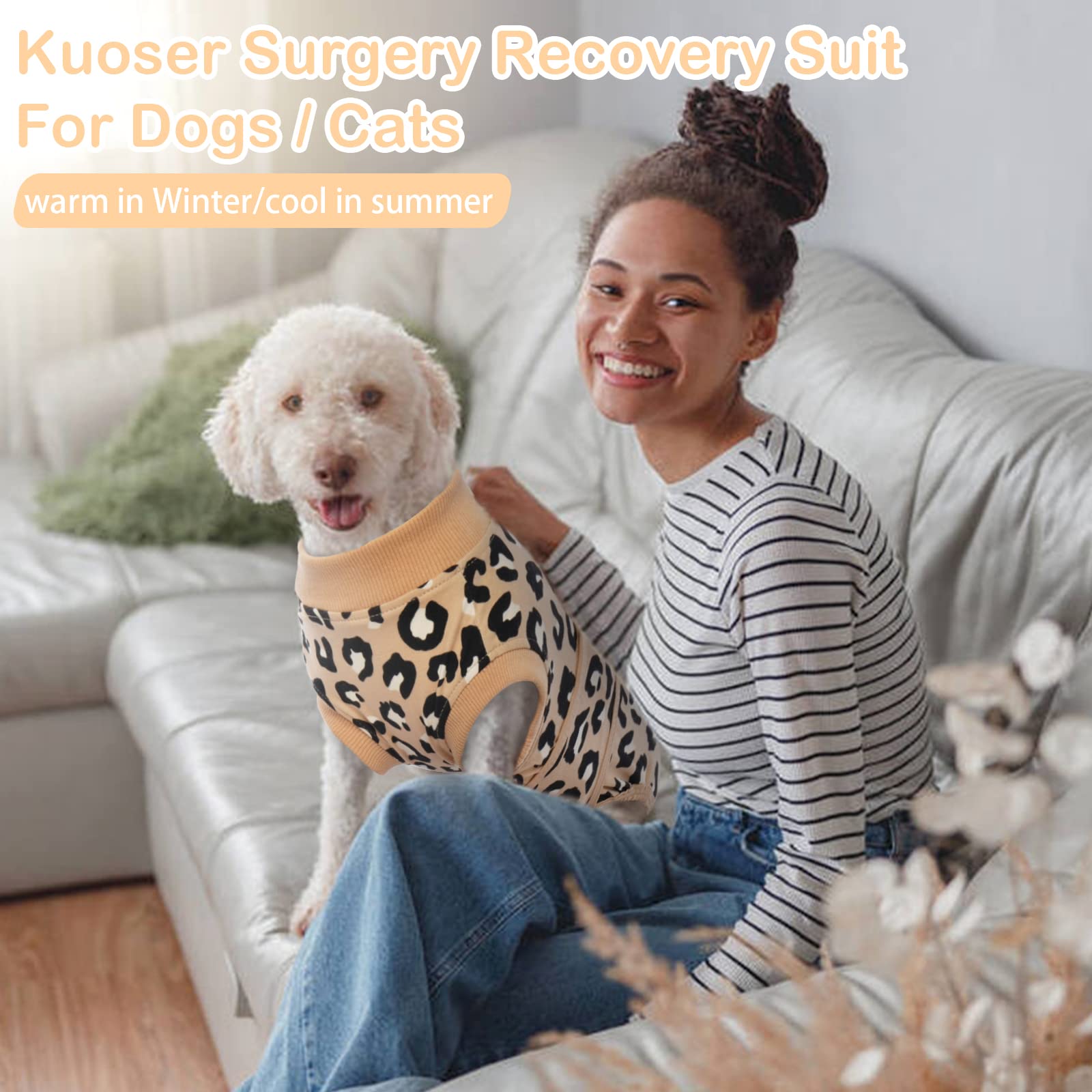 Kuoser dog recovery suit in use indoors or outdoors.