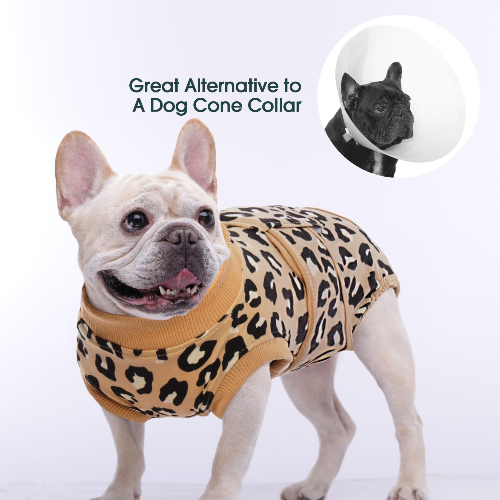 Kuoser dog recovery suit worn on a dog during recovery.